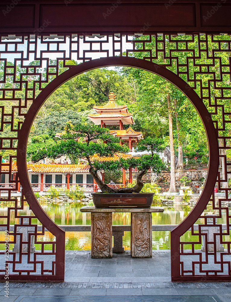 Shenzhen Xianhu Botanical Garden bonsai garden ancient architecture garden courtyard corridor doors 