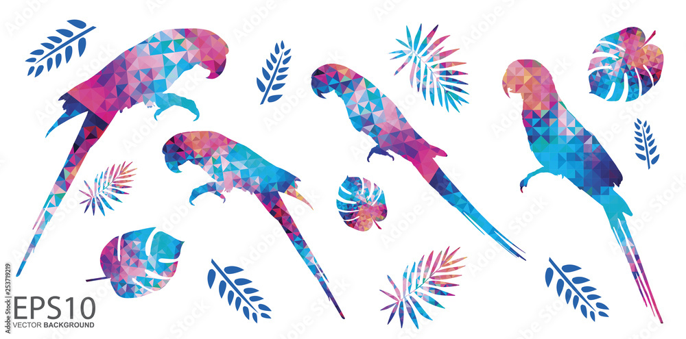 色彩缤纷的金刚鹦鹉和热带树叶图案背景。