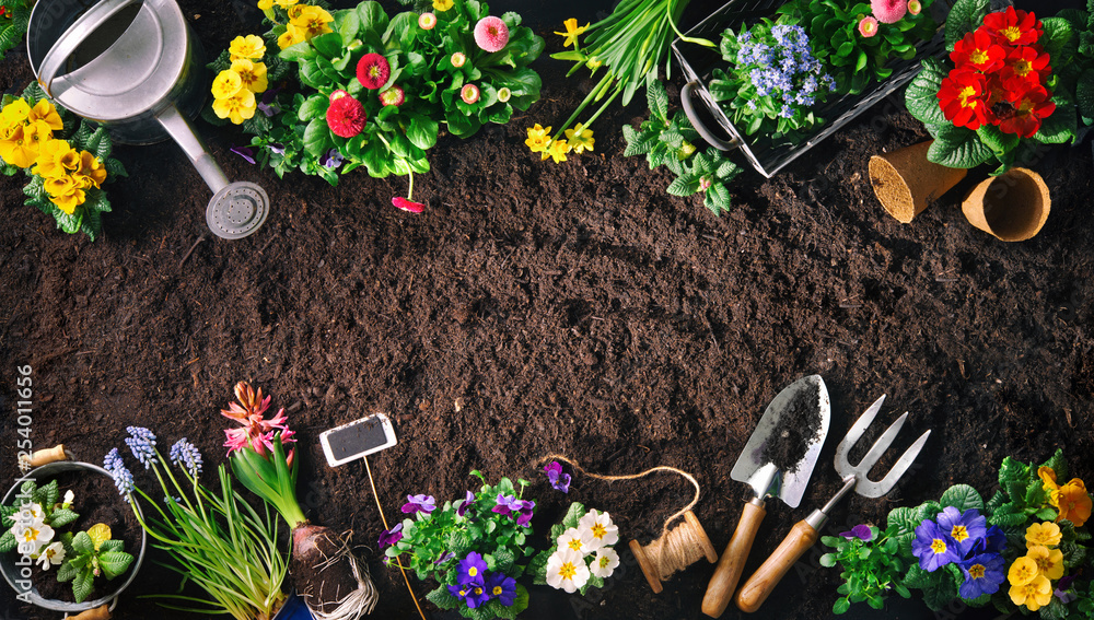 园艺工具和土壤上的花朵