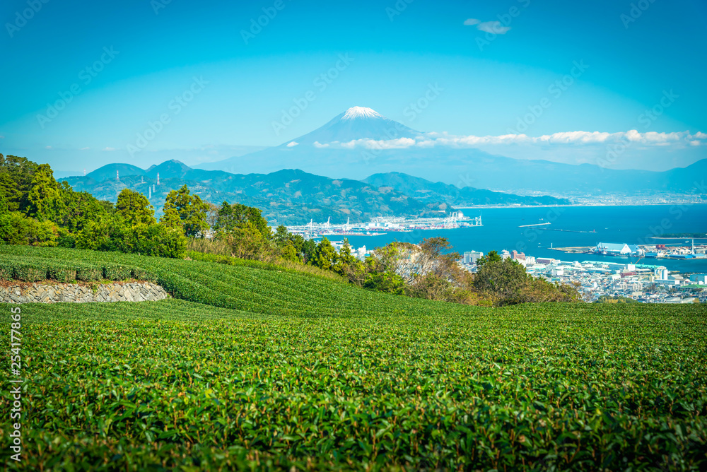 日本静冈市白天富士山和绿茶田的景观图像。
