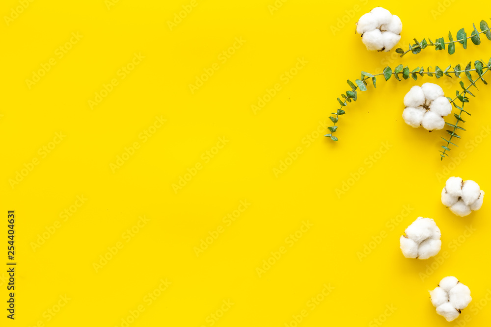 黄色背景上的花朵与绿色桉树树枝和干燥的棉花花朵接壤俯视图c
