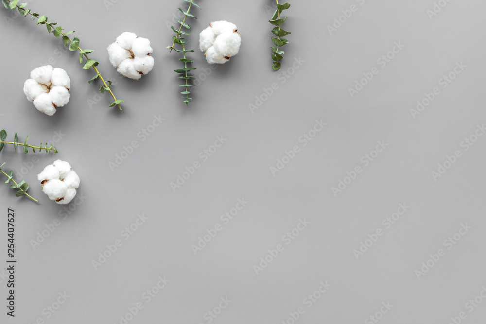 花卉和树叶布局。灰色背景下桉树树枝附近的棉花俯视图，平坦的水疗中心