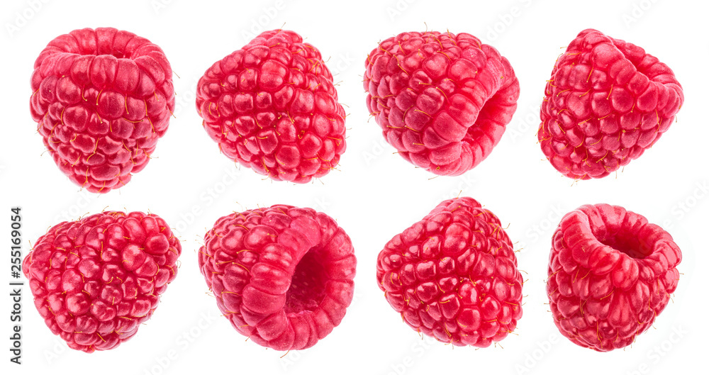 白底树莓隔离系列