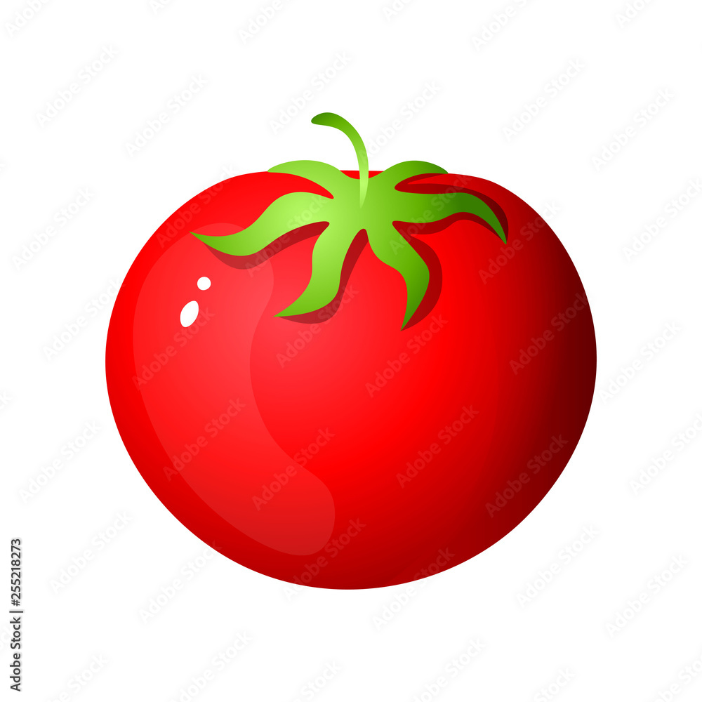 白色背景上孤立的单个红色番茄简单卡通