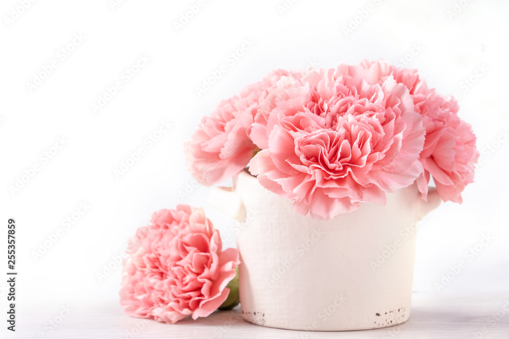 美丽绽放的婴儿粉色嫩康乃馨，放在一个白色花瓶里，背景明亮，五月末