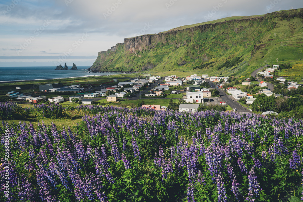 夏季冰岛美丽的Vik i Myrdal镇。Vik村是最南端的村庄