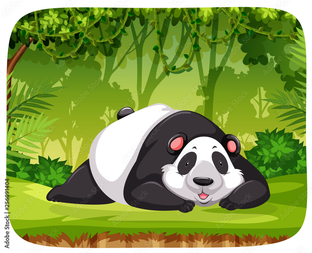 丛林中的熊猫