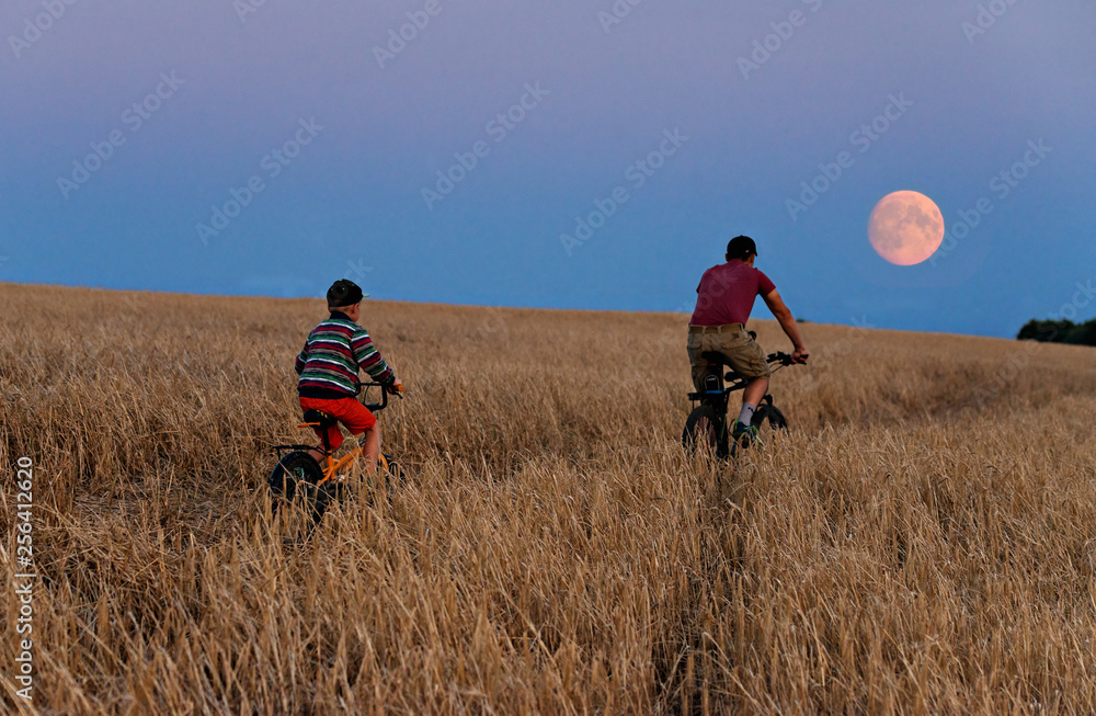 在月光下的田野里骑行。