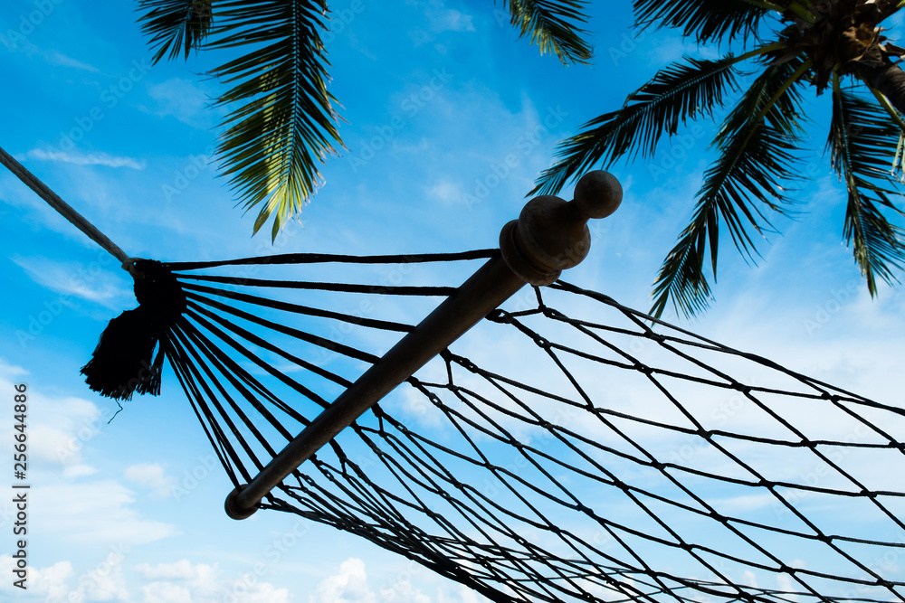 以椰子树叶和蓝天为背景的吊床摇篮剪影