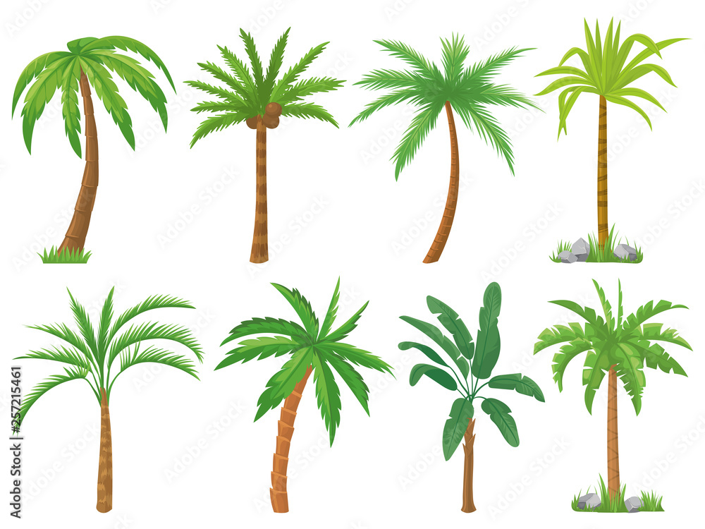 棕榈树。热带树木绿叶、海滩棕榈和复古加州绿色植物隔离矢量se