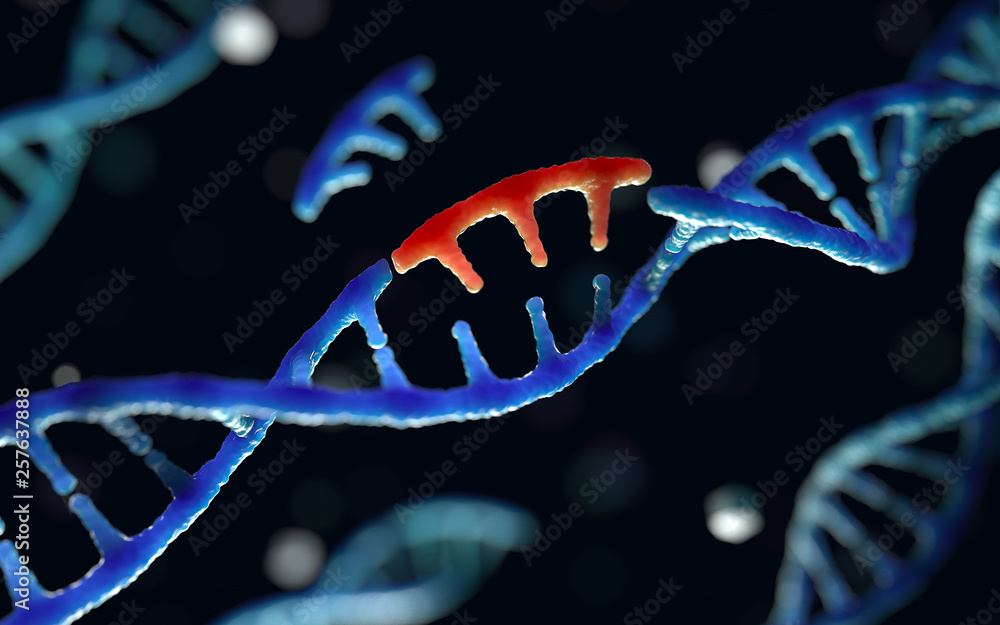 基因工程和基因操作概念，三维渲染，概念图像。