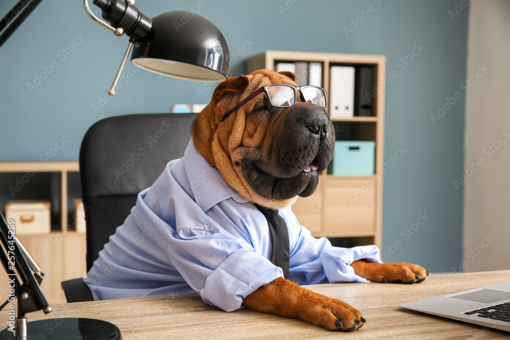 办公室里打扮成商人的可爱有趣的狗