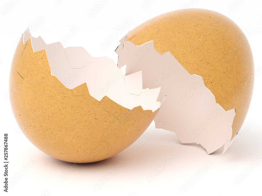 Broken Eggshell