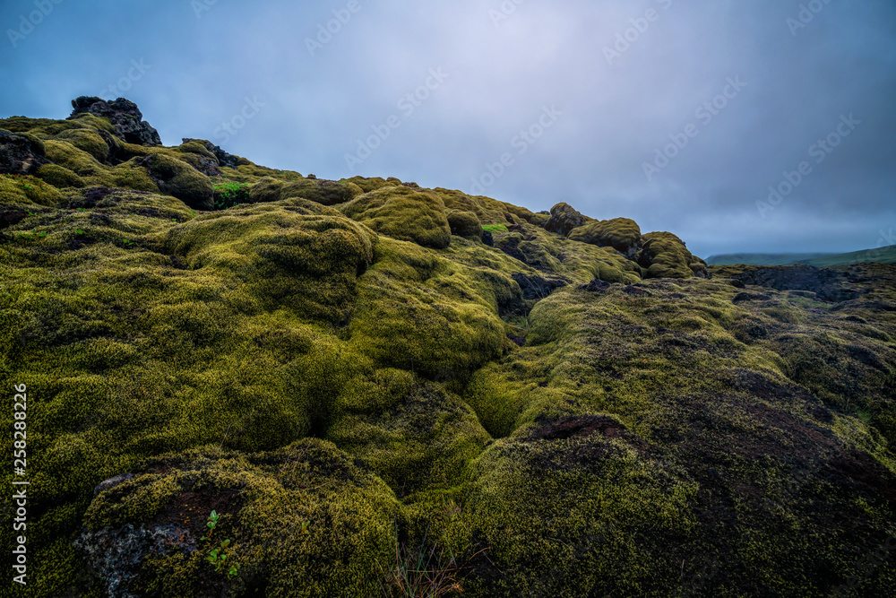 冰岛的火山灰和熔岩场。地热景观。