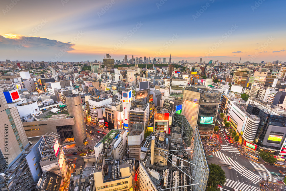 日本东京，涩谷区上空的城市天际线，远处是新宿区的天际线。