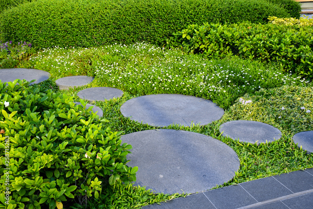 花园中的踏石小路，景观设计的概念形象。