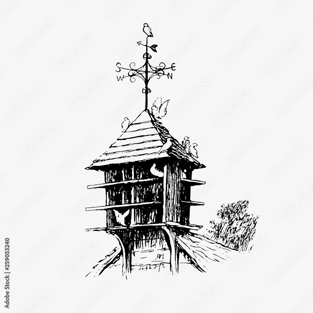 Birdhouse and birds