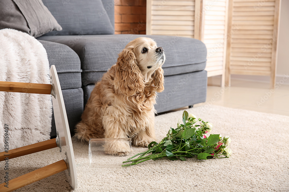 顽皮的狗和掉落的花瓶，地毯上有花
