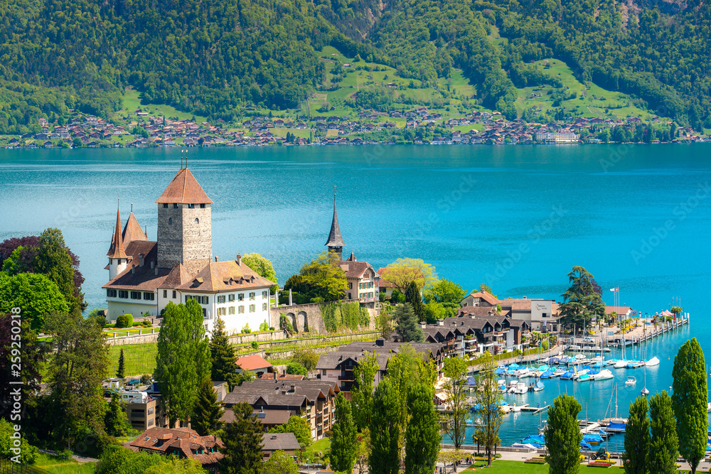 瑞士伯尔尼图恩湖上的斯皮兹城堡景观。