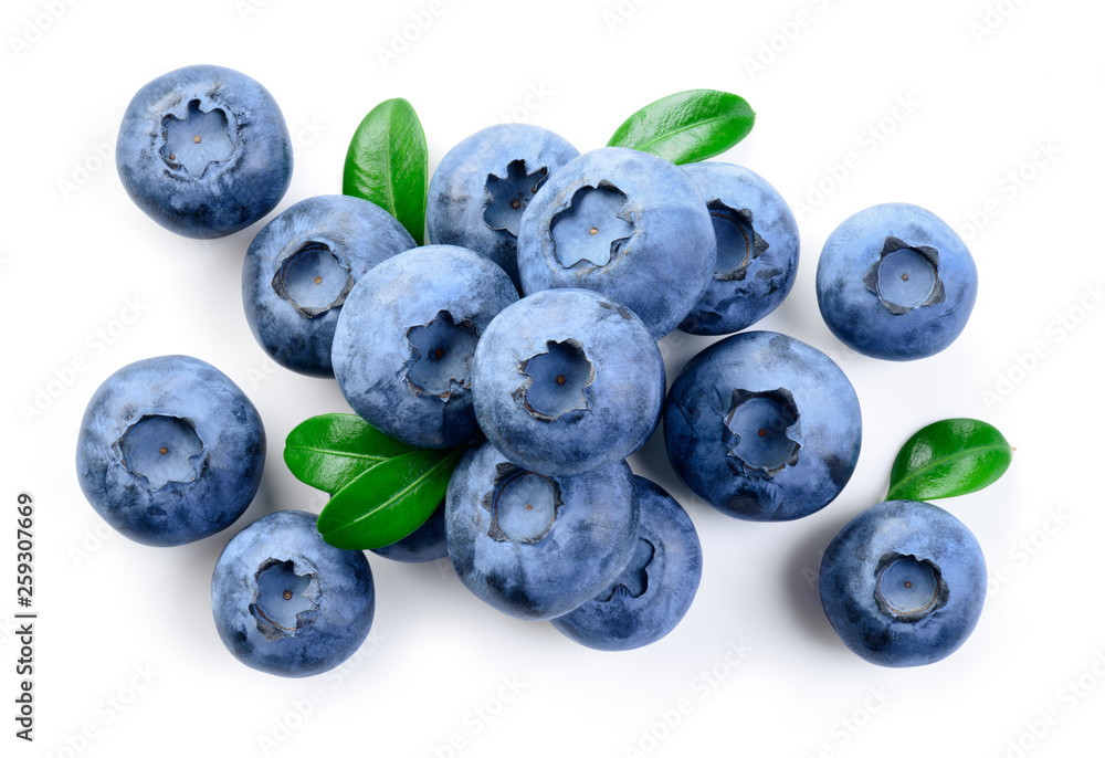 蓝莓。白色蓝莓隔离物。俯视图。