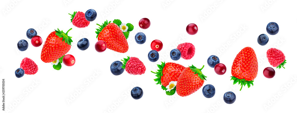 Flying berries isolated on white background with clipping path, different falling wild berry fruits,