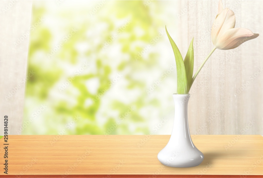 Tulip flower in white vase
