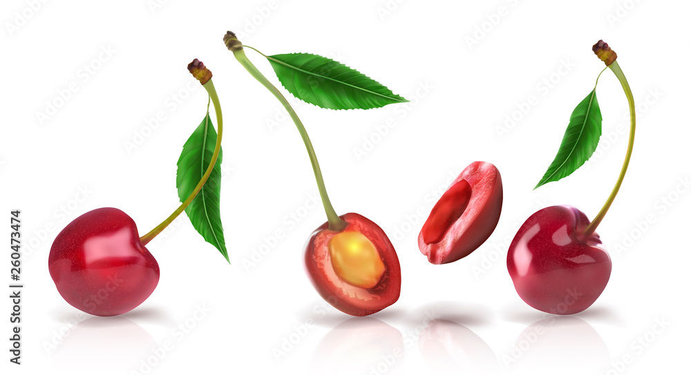 Ripe berries of sweet cherry with green leaves. Vector realistic illustration on white background.