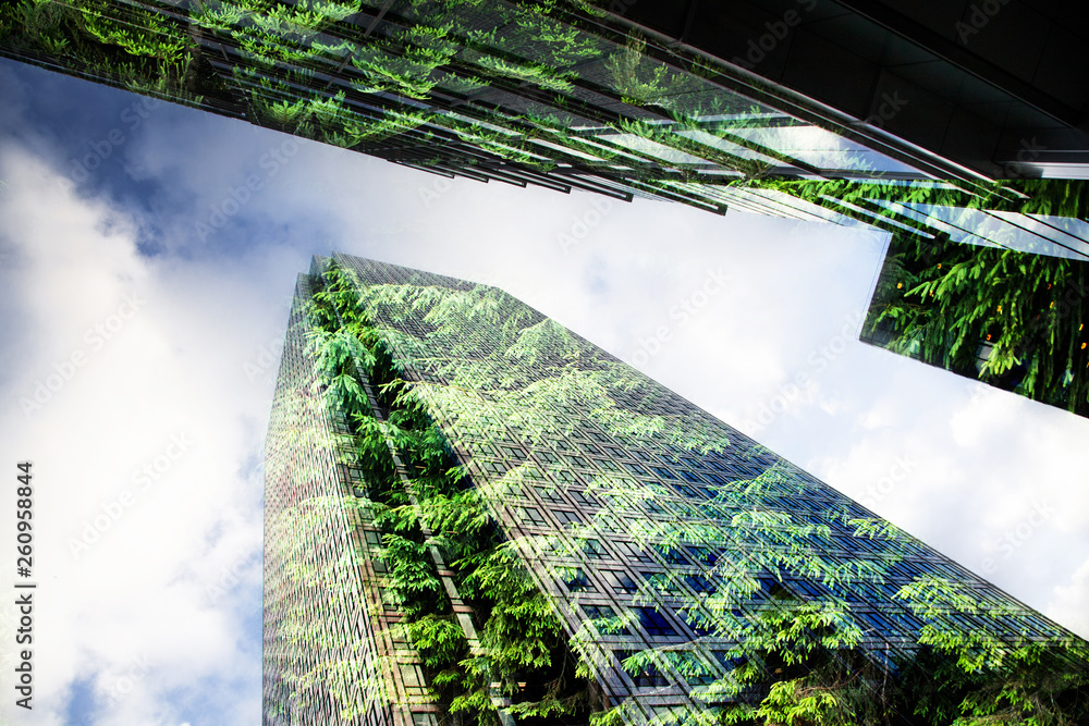 绿色城市——郁郁葱葱的绿色森林和现代摩天大楼窗户的双重曝光