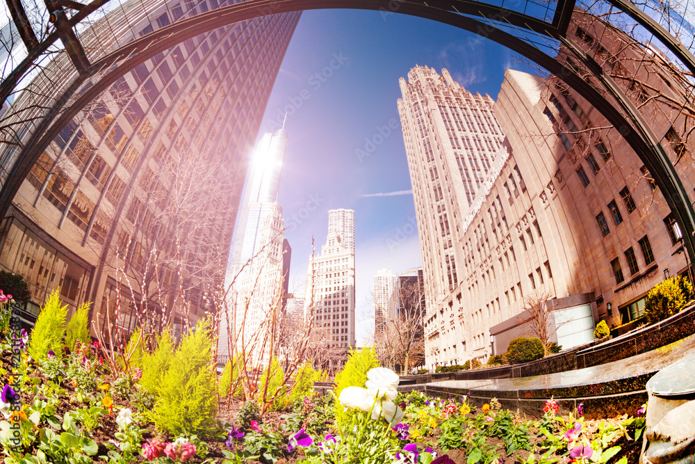 芝加哥广场上的鲜花和绿色装饰