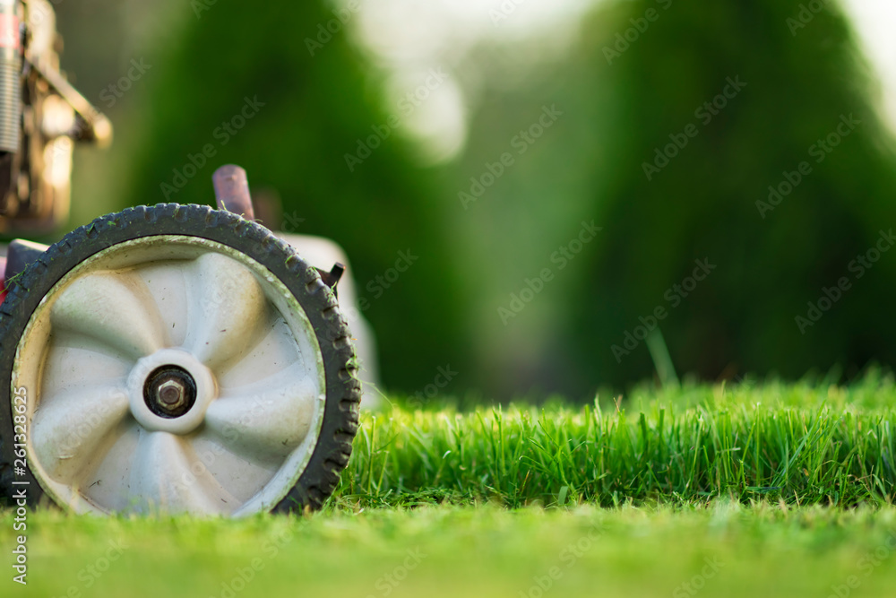 Lawn mower cutting green grass in sunlight