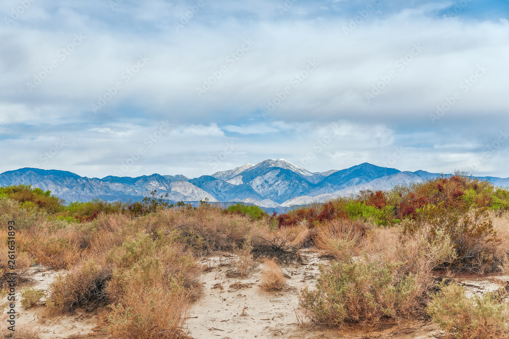 从美国南加州沙漠温泉欣赏科切拉山谷