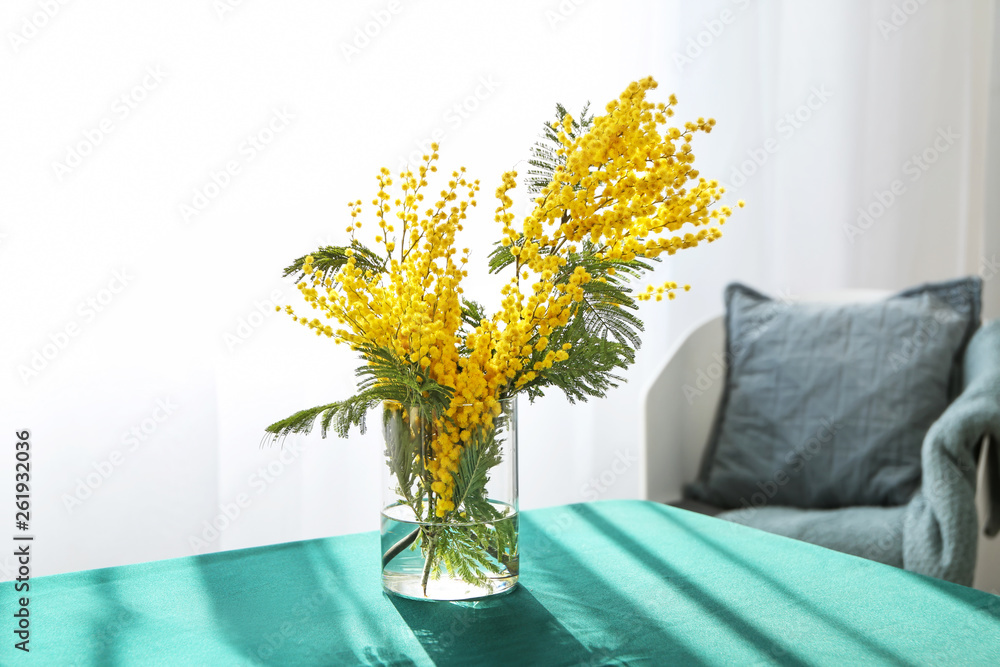 Vase with beautiful mimosa flowers on table in room