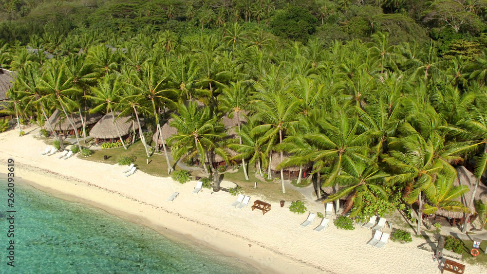 DRONE: Fancy wooden beachfront bungalows hide in the dense palm tree forest.