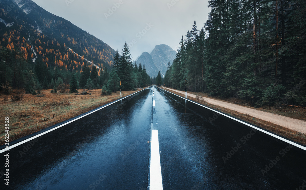 雨中秋林中的道路。阴雨天完美的沥青山路。道路
1426361606,意大利玛格丽塔披萨