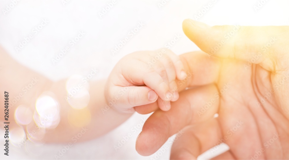 新生婴儿手牵着白底kuman的手