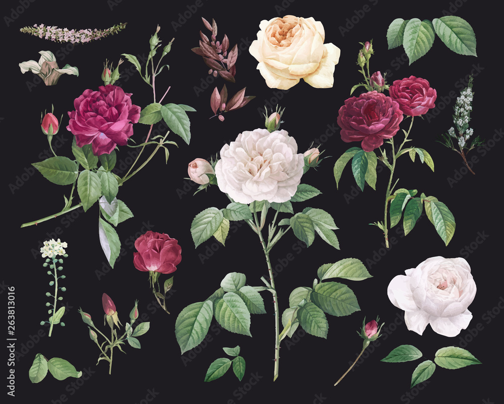 Floral design background