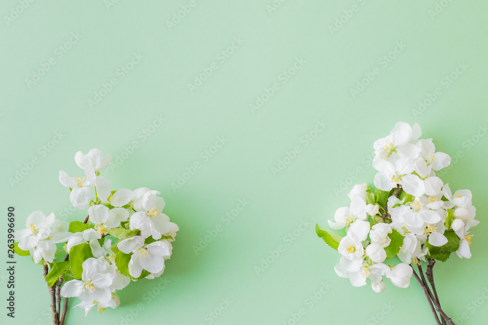 平躺构图，绿色背景上有春天的白花