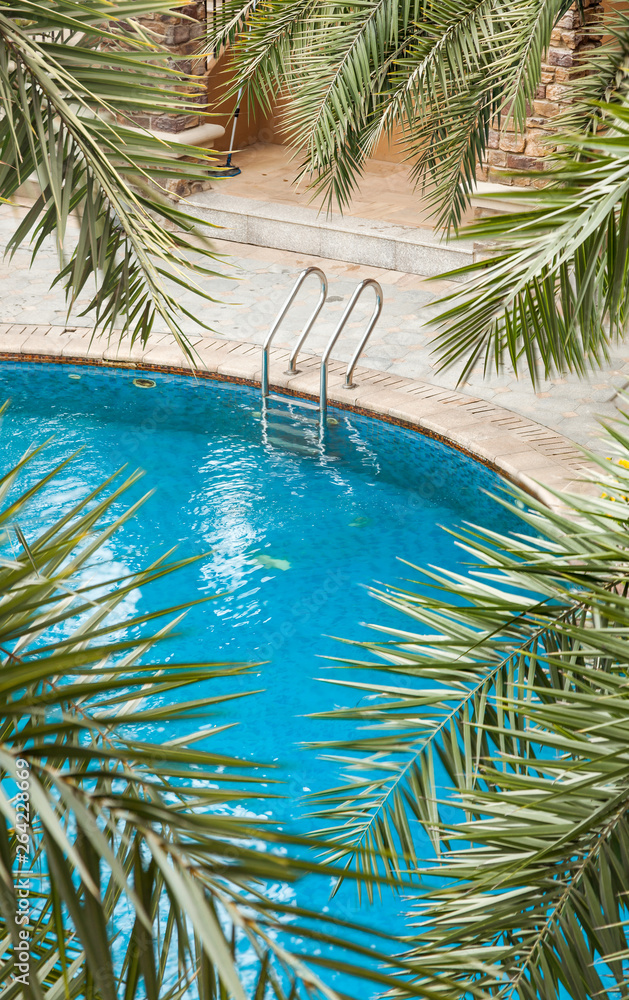 热带植物园中棕榈树和郁郁葱葱的常青树环绕的游泳池