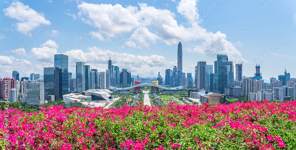 Shenzhen Civic Center Panorama