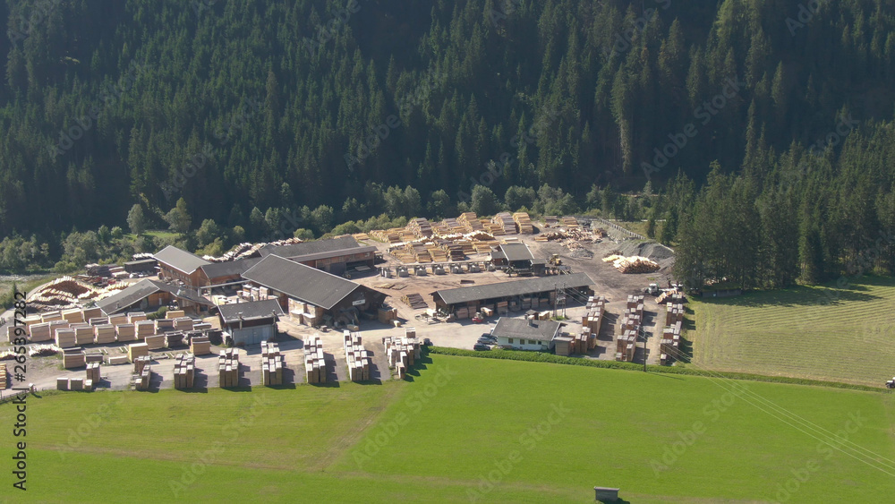 空中飞行：在奥地利茂密的云杉林附近的一家大型锯木厂周围飞行。