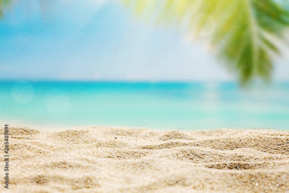 阳光明媚的热带加勒比海海滩，棕榈树和绿松石色的海水，岛屿度假，炎热的夏日