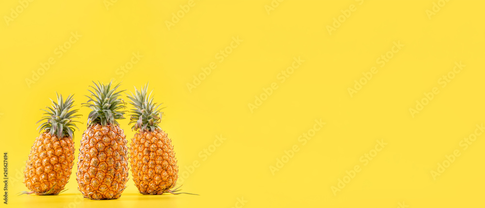 明亮的黄色背景上隔离着美丽的新鲜菠萝，夏季时令水果设计理念pa