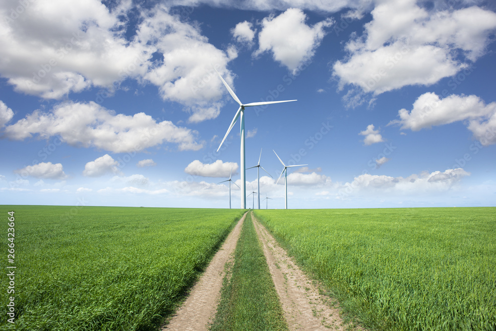 绿色可持续能源风电场之路