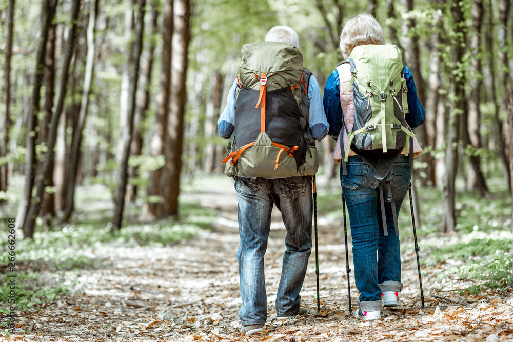 Beautiful senior couple hiking with backpacks and trekking sticks in the forest, back view Concept o