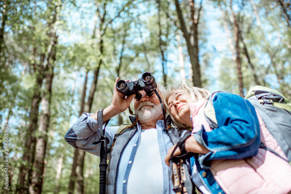 一对老年夫妇在森林里徒步旅行时用双筒望远镜观看。关于积极生活方式的概念