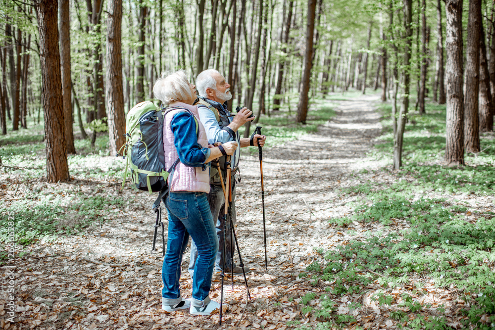 美丽的老年夫妇背着背包和徒步棒在森林里徒步旅行。主动l的概念