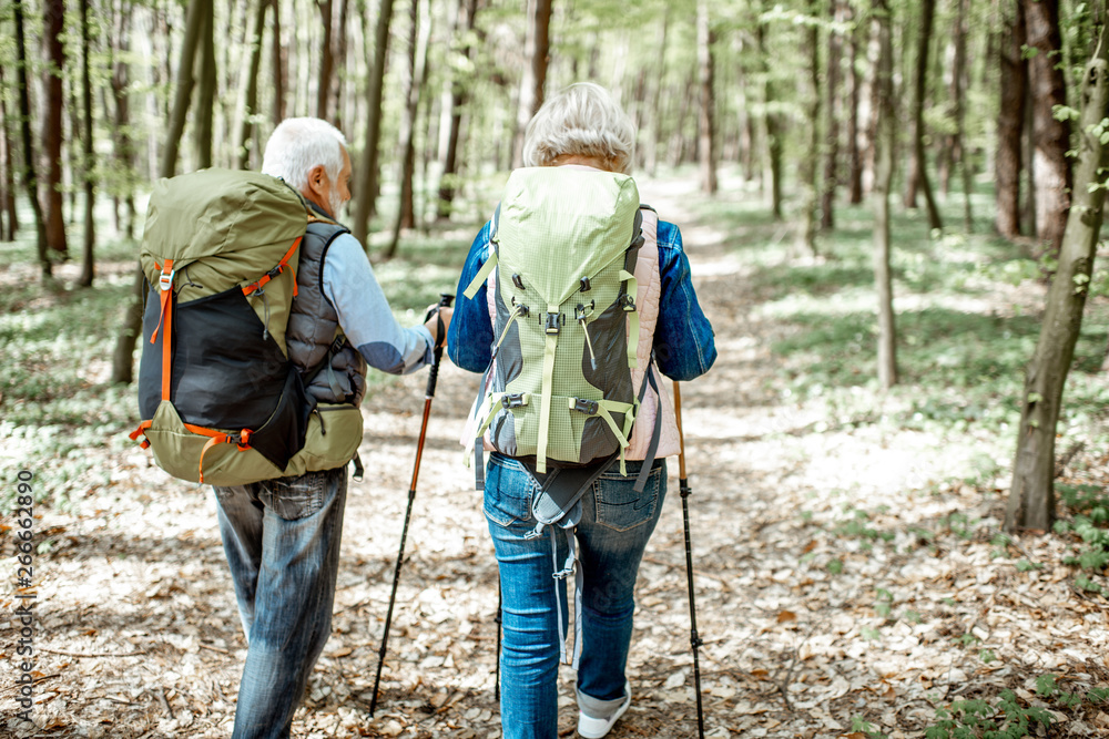 Senior couple hiking with backpacks and trekking sticks in the forest, back view. Concept of an acti