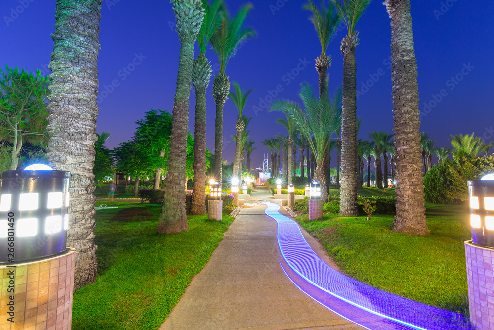 Beautiful pathway with palm trees at the beach of Turkey