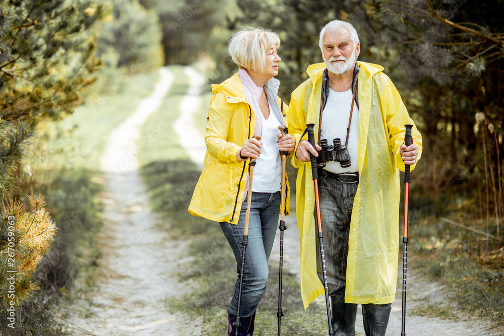 一对幸福的老年夫妇穿着黄色雨衣，拄着徒步杖在年轻的松树上徒步旅行的肖像