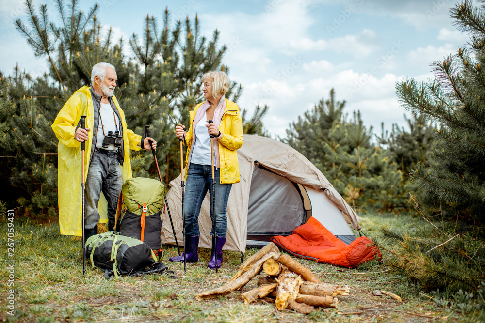 一对穿着黄色雨衣的老年夫妇在年轻的松林中的露营地，带着帐篷和壁炉